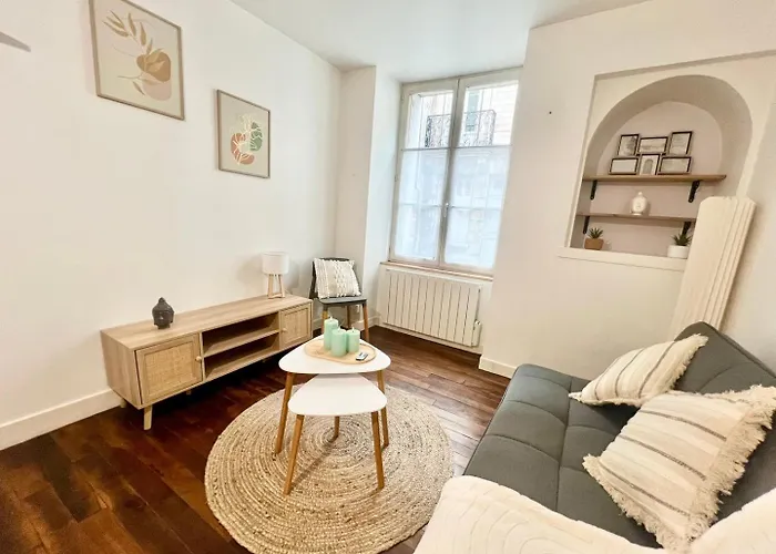 Cocon Au Coeur De Avec Cour - Centre Appartement Poitiers